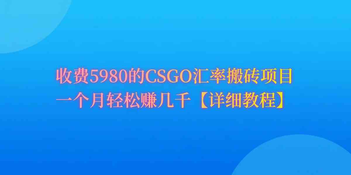 （9776期）CSGO装备搬砖，月综合收益率高达60%，你也可以！-小白网创