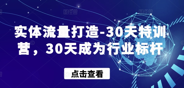 实体流量打造-30天特训营，30天成为行业标杆-小白网创