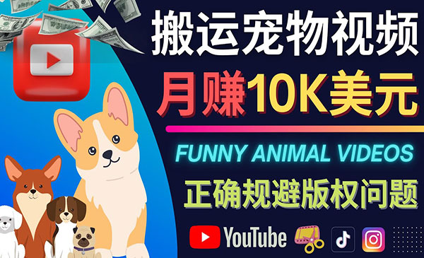 搬运宠物视频，月赚10K美元-小白网创