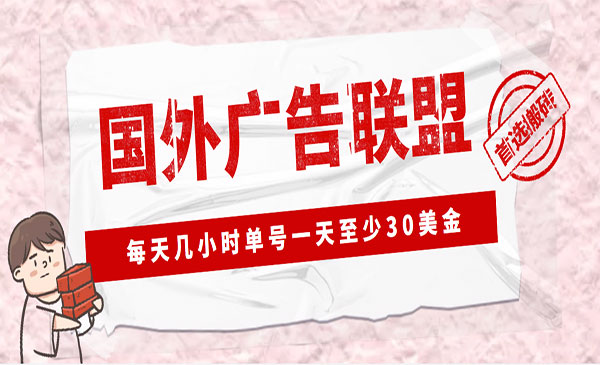 LEAD广告联盟搬砖项目，单号30美金一天-小白网创