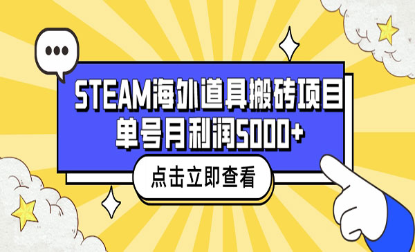 Steam海外道具搬砖项目，月入5000+-小白网创