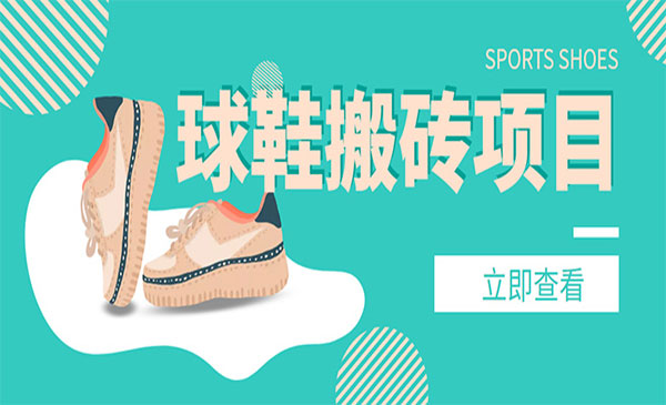 球鞋搬砖项目，外面收998-小白网创
