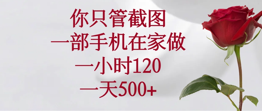 （14248期）你只管截图，一部手机在家做，一小时120，一天500+-小白网创