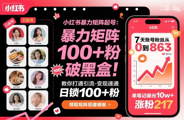 小红书暴力矩阵起号，教你打通引流-变现速通，日锁100+粉，破流量黑盒-小白网创