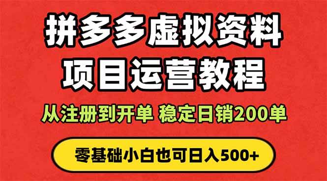 （16220期）拼多多开店运营课程： 蓝海变现玩法，轻松实现睡后收入 零基础小白也可…-小白网创
