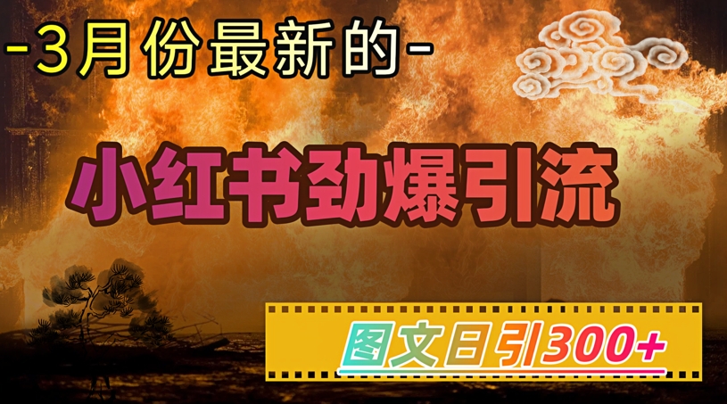 小红书超劲爆引流手段，图文日引300+轻松变现1W-小白网创
