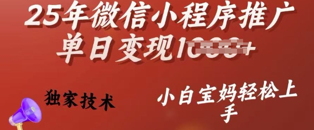 25年微信小程序推广单日变现多张，独家技术，小白宝妈轻松上手【揭秘】-小白网创