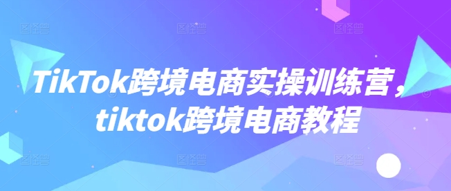 TikTok跨境电商实操训练营，tiktok跨境电商教程-小白网创