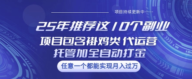 25年推荐这10个副业项目包含褂鸡类、代运营托管类、全自动打金类【揭秘】-小白网创