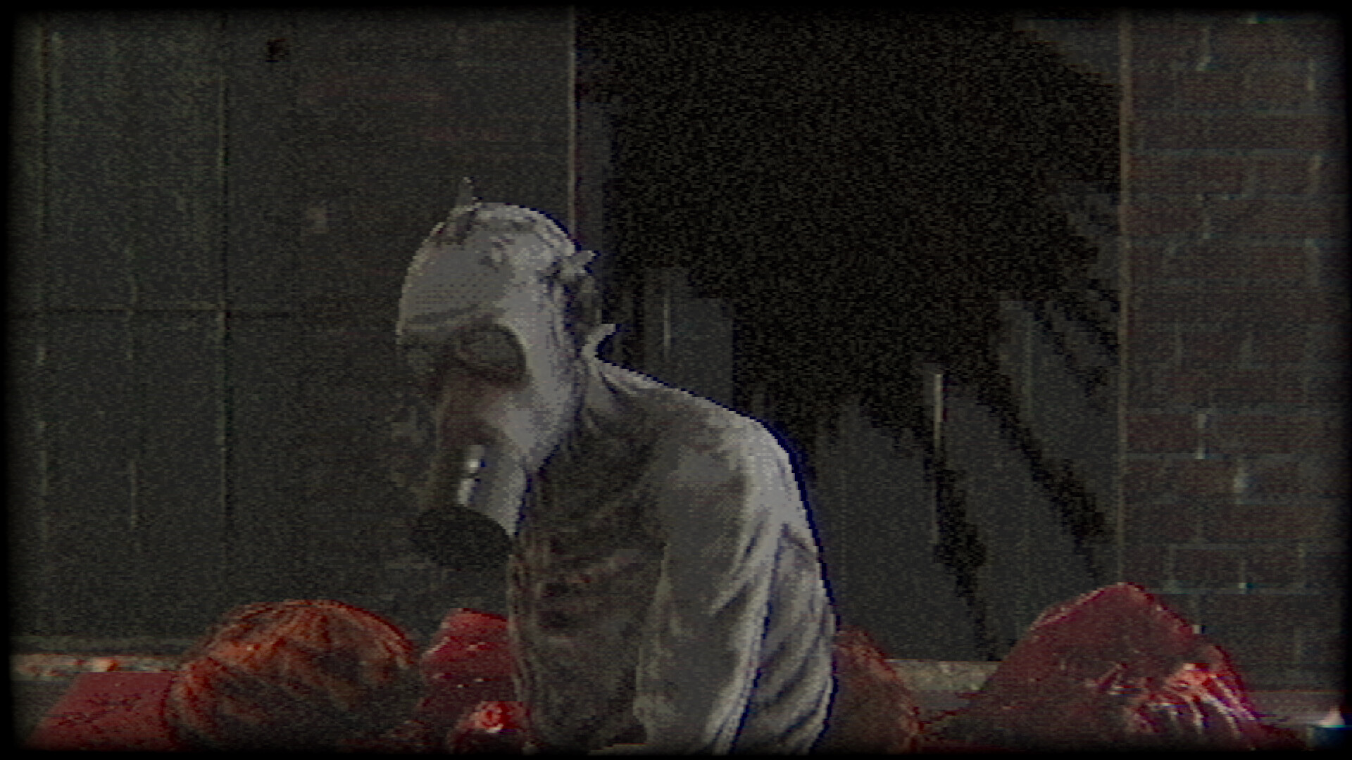 1706840313255925.jpg 塑形变异/Plastomorphosis