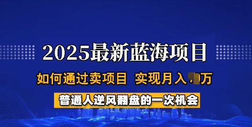 2025蓝海项目，普通人如何通过卖项目，实现月入过W，全过程【揭秘】-小白网创