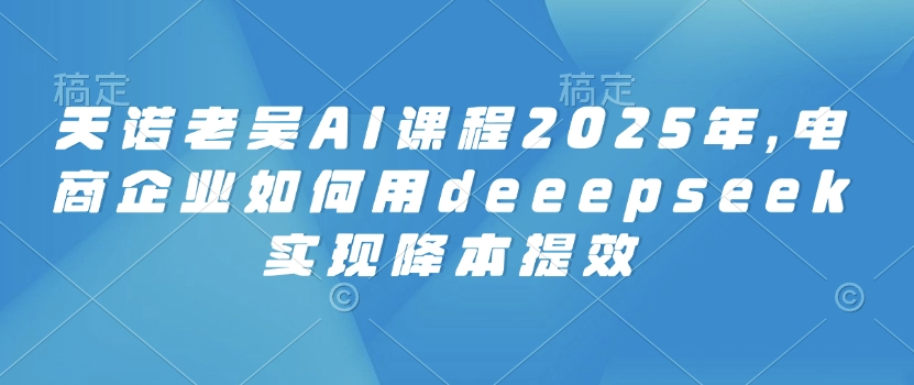 天诺老吴AI课程2025年，电商企业如何用deeepseek实现降本提效-小白网创