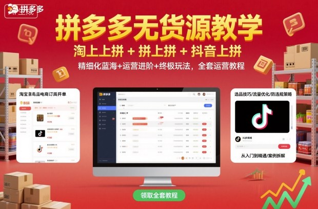 拼多多无货源教学，淘上拼+拼上拼+抖上拼，精细化蓝海+运营进阶+终极玩法，全套运营教程-小白网创