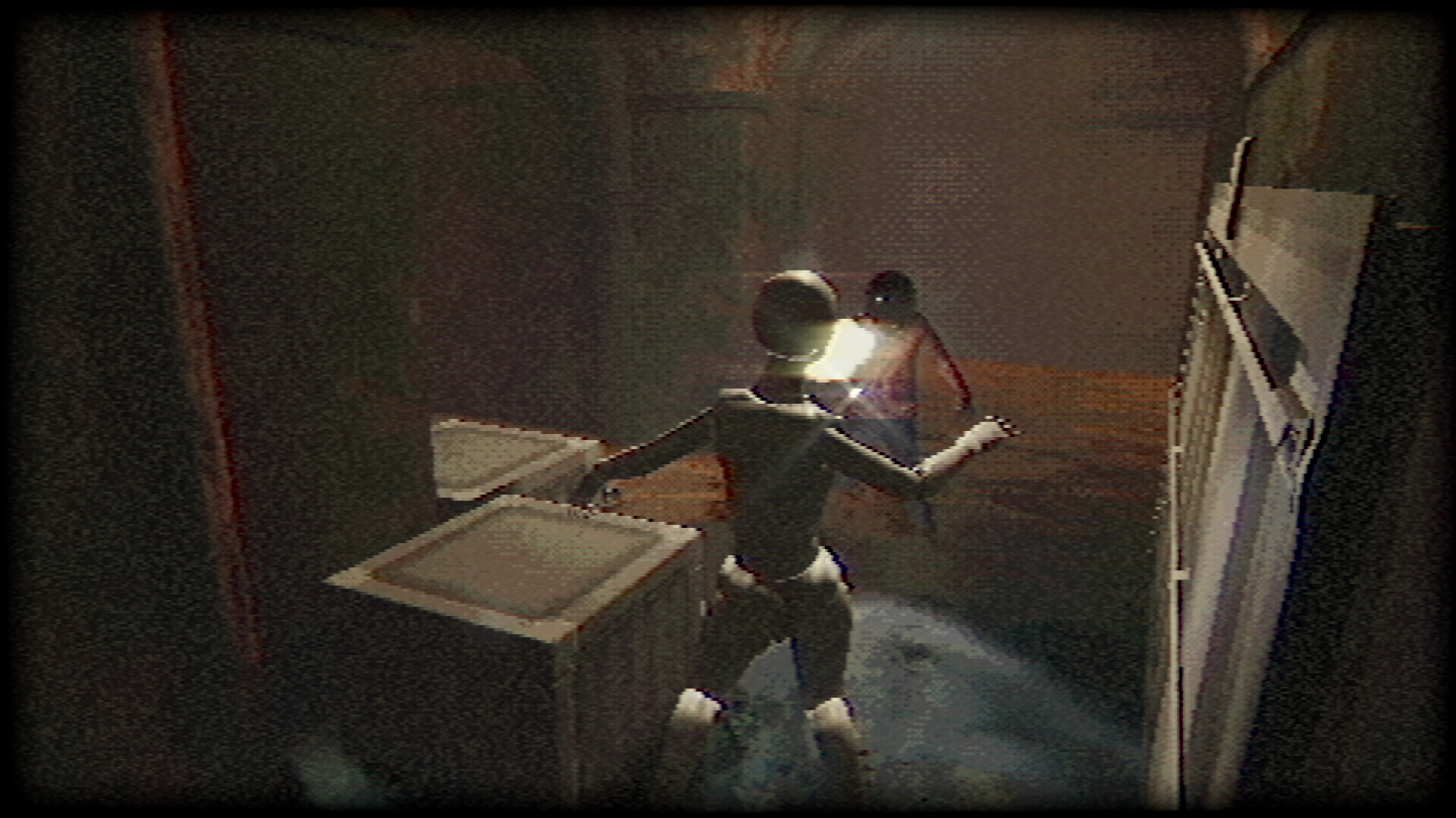 1706840313228326.jpg 塑形变异/Plastomorphosis