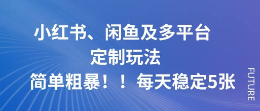 小红书、闲鱼及多平台定制玩法简单粗暴！每天稳定5张-小白网创