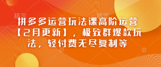 拼多多运营玩法课高阶运营【2月更新】，极致群爆款玩法，轻付费无尽复制等-小白网创