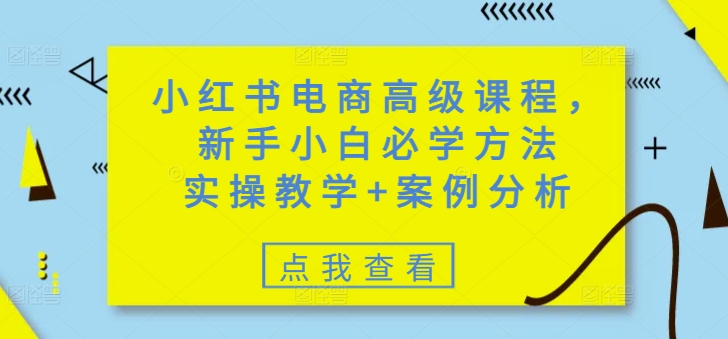 小红书电商高级课程，新手小白必学方法，实操教学+案例分析-小白网创