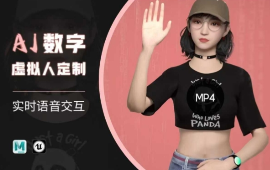 Ai数字人虚拟(智能体)实时语音交互特训营，​自行定制超写实角色AI数字人交互技术-小白网创