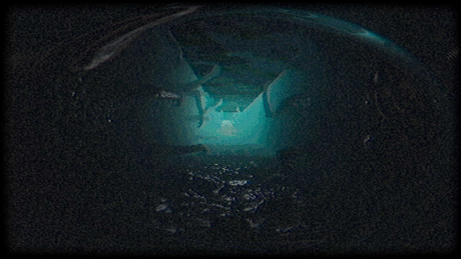 1706840313949815.jpg 塑形变异/Plastomorphosis